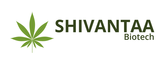 Shivantaa