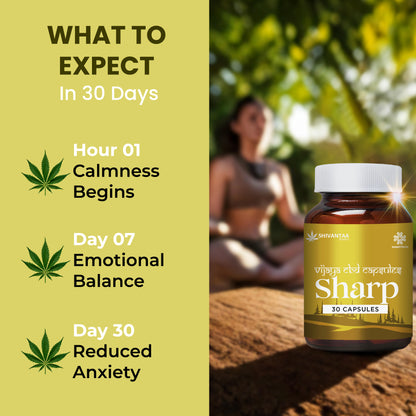 CBD Full Spectrum Sharp  Capsule | For Stress